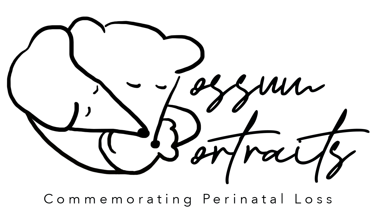 Logo of Possum Portraits Inc
