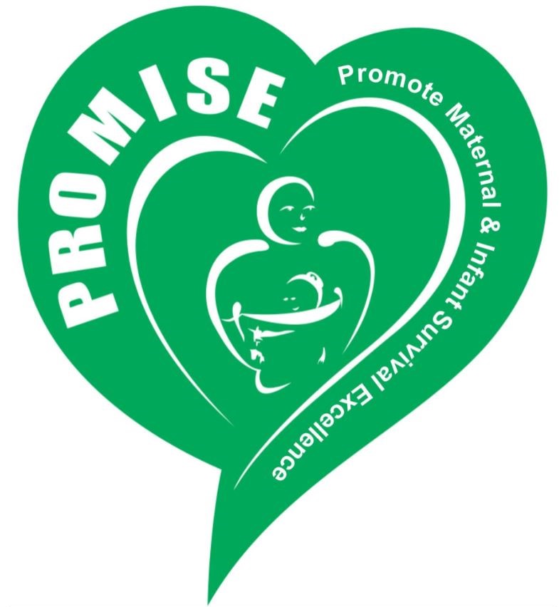 Logo of Promise Initiative Ghana